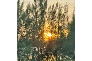 8650 Nw 97th Ave 204 Doral, FL 33178 - MLS#A11906026