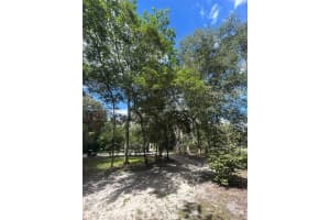 2425 SE 10th Ave #0, Gainesville, FL 32641, - MLS#A11906959