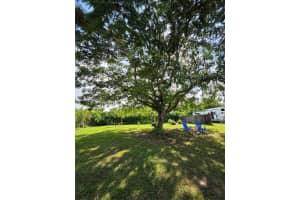 18200 SW 262nd St, Homestead, FL 33031, - MLS#A11908079