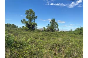 521 E Trinity St Lehigh Acres, FL 33974 - MLS#A11909225