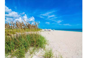 1650 5th Ave 1650, Vero Beach