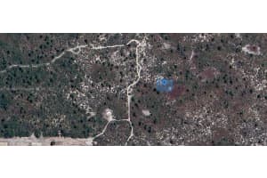 431 Lucille Lane Lake Placid, FL 33852 - MLS#A11909644