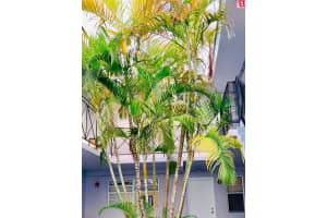 MLS# A11909763, North Miami Beach, Florida 33162