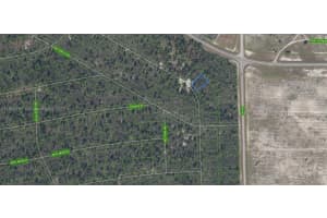 556 Ebbtide Lake Placid, FL 33852 - MLS#A11909765