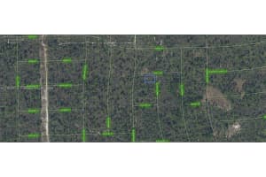 305 Dolly Lane Lake Placid, FL 33852 - MLS#A11909818