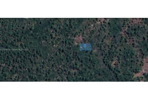 305 Dolly Lane Lake Placid, FL 33852 - MLS#A11909818