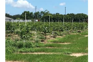 15000 Sw 256 St. Homestead, FL 33032 - MLS#A11910646