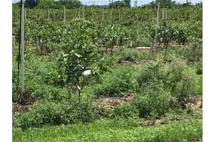 15000 Sw 256 St. Homestead, FL 33032 - MLS#A11910646