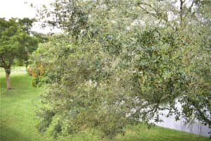 9301 Sunrise Lakes Blvd 303, Sunrise