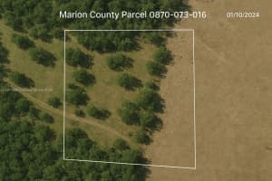 MLS# A11911569, Ocala, Florida 00000