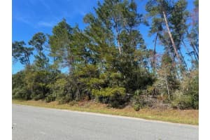 Tbd 112th St Ocala, FL 34476 Sold 01/16/26