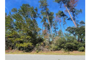 Tbd 112th St Ocala, FL 34476 Sold 01/16/26