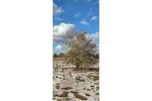 16525 Nw 260 St Okeechobee, FL 34972 - MLS#A11914472