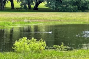 13881 Sw 105 Pl Ocala, FL 34432 - MLS#A11916168