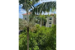 1919 Van Buren St 516a, Hollywood