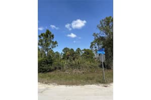 3401 June Ave N Lehigh Acres, FL 33971 - MLS#A11917245