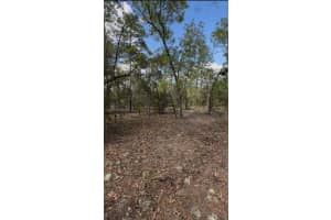 Sw Sw Indian Hill Dr, Ocala