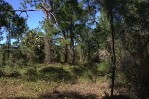 1917 Moore Lehigh Acres, FL 33972 - MLS#A11917348