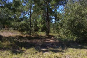 1917 Moore Lehigh Acres, FL 33972 - MLS#A11917348