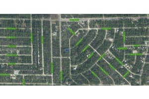 3292 Gossamer Avenue Lake Placid, FL 33852 - MLS#A11917674