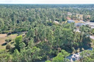 1405 W 14th St Lehigh Acres, FL 33972 - MLS#A11919183