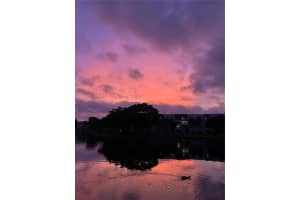 1522 Whitehall Dr 204, Davie