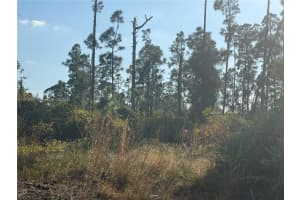 1084-1086 Ainsworth St Lehigh Acres, FL 33974 - MLS#A11919507