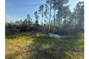 1084-1086 Ainsworth St Lehigh Acres, FL 33974 - MLS#A11919507