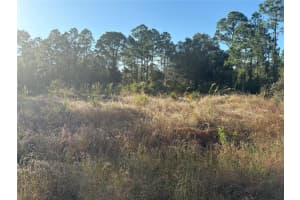 315 Abbott Ave Lehigh Acres, FL 33936 - MLS#A11919750