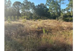 315 Abbott Ave Lehigh Acres, FL 33936 - MLS#A11919750