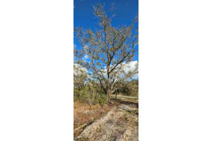 18678 Nw 284 St Okeechobee, FL 34972 - MLS#A11921746