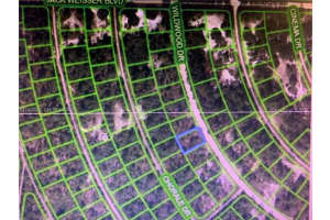 358 Wildwood Dr, Lake Placid 358 Wildwood Dr, Lake Placid