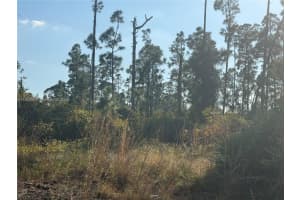 1088/1090 Ainsworth St E Lehigh Acres, FL 33974 - MLS#A11924909