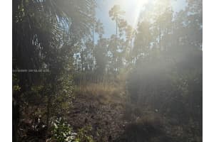 1088/1090 Ainsworth St E Lehigh Acres, FL 33974 - MLS#A11924909