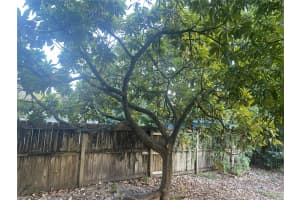 209 Nw 17th Pl Miami, FL 33125 - MLS#A11926219