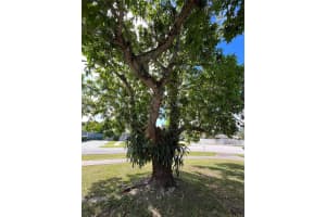 10011 Sw 162nd St Miami, FL 33157 - MLS#A11927041