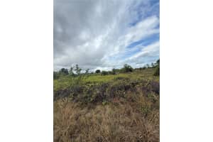 1503 Irving Ave Lehigh Acres, FL 33972 - MLS#A11927978