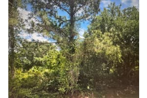 720 Scott Ave Lehigh Acres, FL 33972 - MLS#A11928225