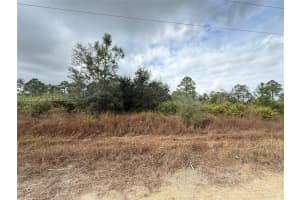 511 Louis Lehigh Acres, FL 33972 - MLS#A11928450