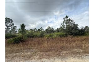 511 Louis Lehigh Acres, FL 33972 - MLS#A11928450