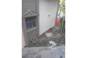 3521 Nw 94th Ave 1b Sunrise, FL 33351 - MLS#A11928608