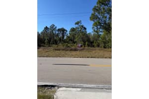 216 Columbus Blvd Lehigh Acres, FL 33974 - MLS#A11929677