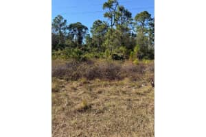 216 Columbus Blvd Lehigh Acres, FL 33974 - MLS#A11929677