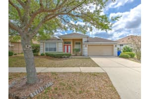10907 Australian Pine Dr Riverview, FL 33579 - MLS#A11929708