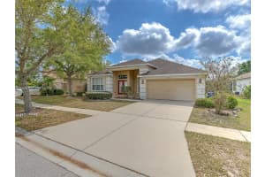 10907 Australian Pine Dr Riverview, FL 33579 - MLS#A11929708