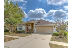 10907 Australian Pine Dr Riverview, FL 33579 - MLS#A11929708