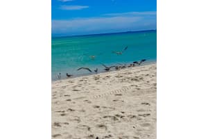 7636 Abbott Ave 3 Miami Beach, FL 33141 - MLS#A11930421