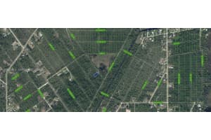 546 Palm Street Lake Placid, FL 33852 - MLS#A11931115