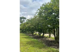 SW 217th Ave, Flamingo, FL 33034, - MLS#A11931390