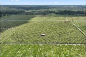 4065 Co Rd 661, Arcadia, FL 34266, - MLS#A11931579